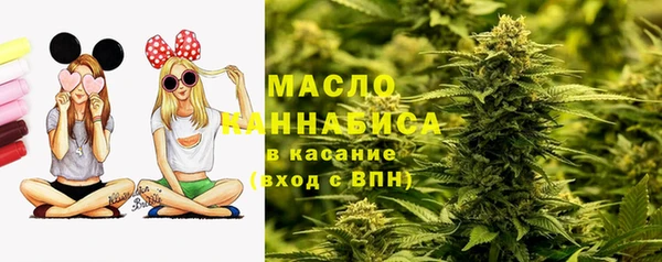 хмурый Медногорск