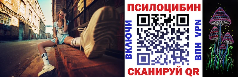 Псилоцибиновые грибы GOLDEN TEACHER  купить  цена  Губкин 